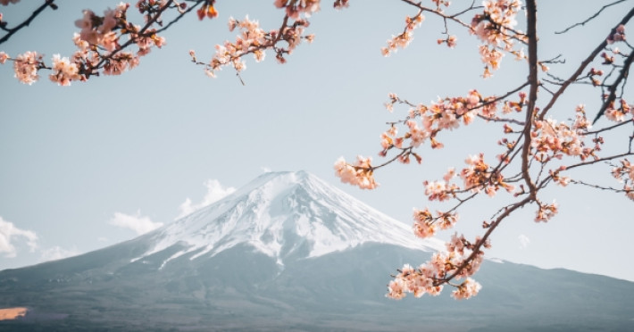 japonia-din-bucuresti-sakura-2025-spectacolul-florii-de-cires-612eed1dcd4f548e.jpeg