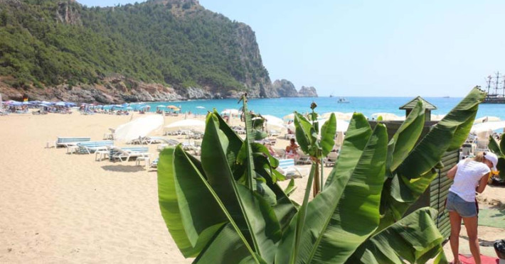 kleopatra-royal-palm-hotel-3a1d6f0f4ae86212.jpeg
