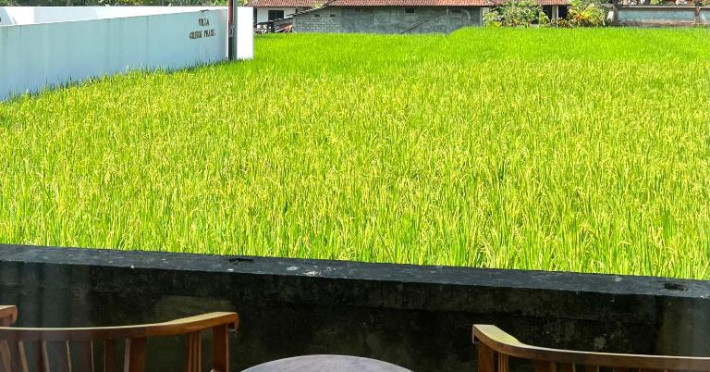 kubu-bali-baik-villa-resort-04a1c98ff0f1f2a0.jpeg