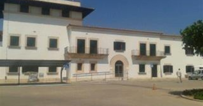 live-mallorca-hostel-22f13a13abf8241d.jpeg