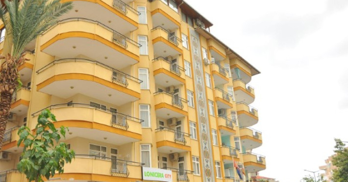 lonicera-city-kleopatra-f2fceb9e65aa752e.jpeg