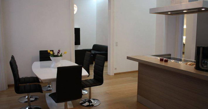 luxury-downtown-apartment-vienna-baeckerstrasse-de64c1e23f635fae.jpeg