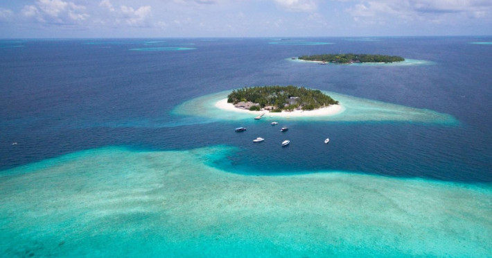 malahini-kuda-bandos-218b111f5d677410.jpeg