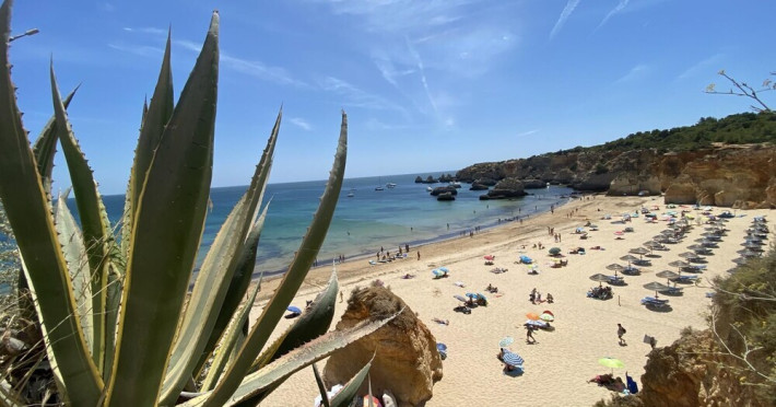 nayjay-staycation-b33a61280ebc9732.jpeg