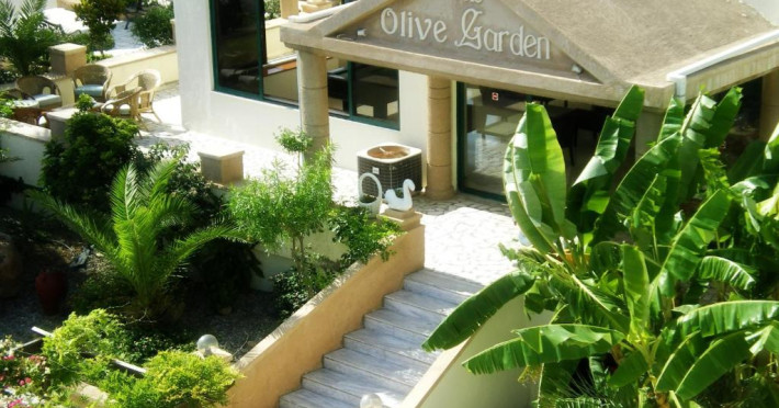 olive-garden-hotel-9861401cd39bec5c.jpeg