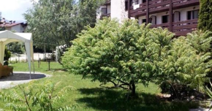 orphey-hotel-bansko-8a15981834a8e5ae.jpeg