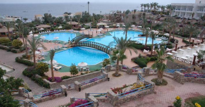 queen-sharm-102d713299ce3080.jpeg