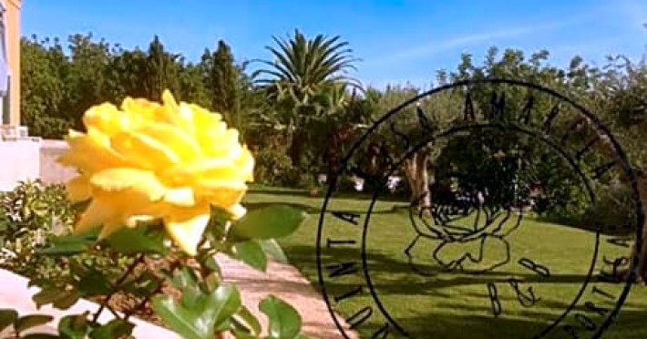 quinta-rosa-amarela-101b1bd30d4f6b20.jpeg