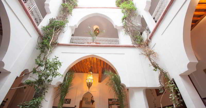 riad-elsagaya-ebdd346901dda6d5.jpeg