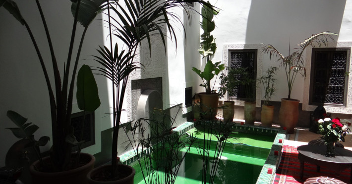 riad-le-jardin-des-sens-7a2443c8b39a7c1e.jpeg