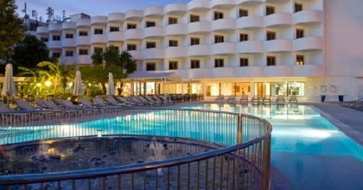 sentido-fido-tucan-2137488c619e54c8.jpeg