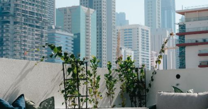 shada-hotel-jumeirah-garden-affb5c9ba47cfc29.jpeg