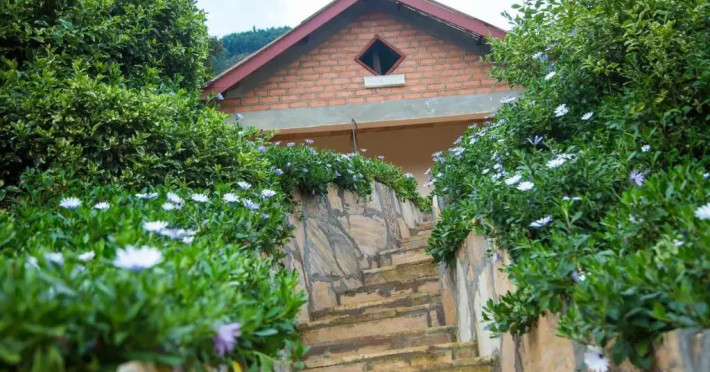 swiss-farm-cottage-01d17cb3f9188658.jpeg