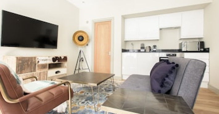 the-mayfair-parade-trendy-1bdr-pied-a-terre-in-central-london-ac36d1e26db945b2.jpeg
