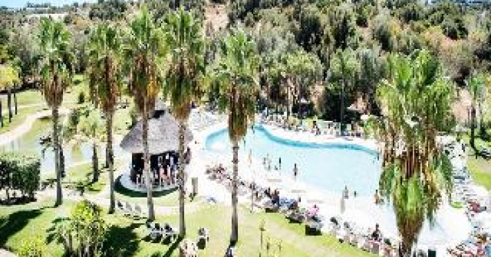 the-navigator-palm-oasis-alvor-45c13aa67880463a.jpeg
