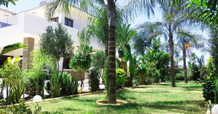 villa-demetra-248415f7a8f8fa37.jpeg