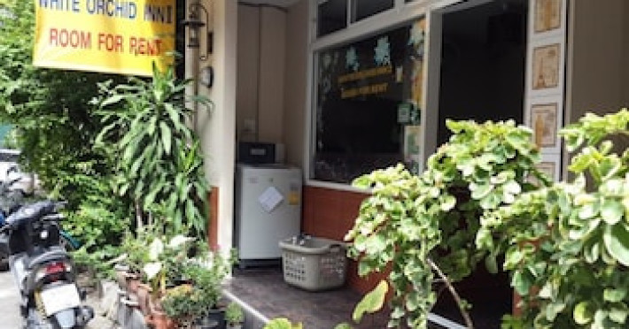 white-orchid-inn-nana-6e123de2e772ee5f.jpeg