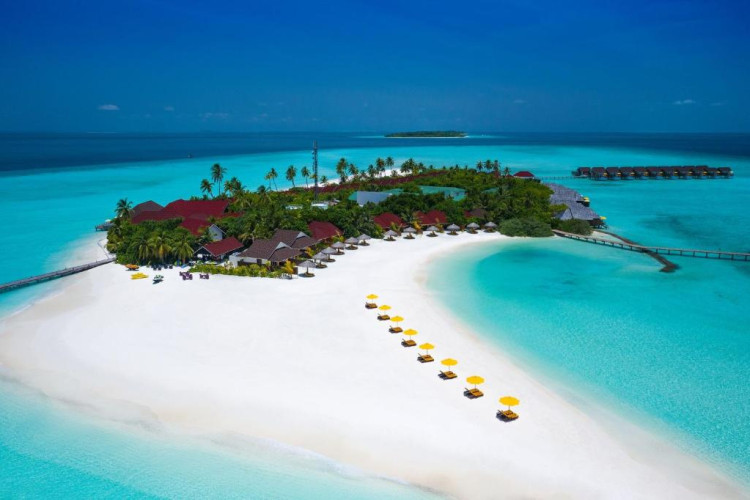 dhigufaru-island-resort-ca0eebbf8f2f09f9.jpeg