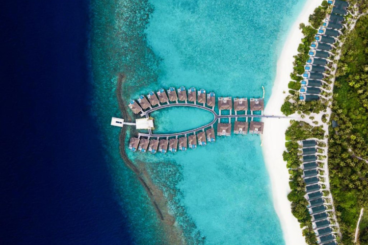 furaveri-maldives-fe026b82e2af3cb1.jpeg