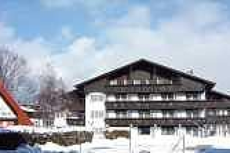 hotel-edelweiss-e1074c2143fb8726.jpeg