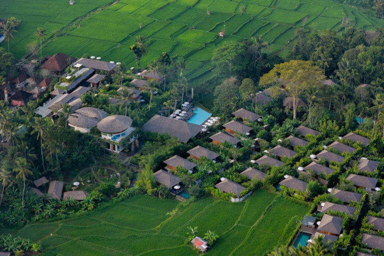 kappa-senses-ubud-3f325d4307a9cfb7.jpeg