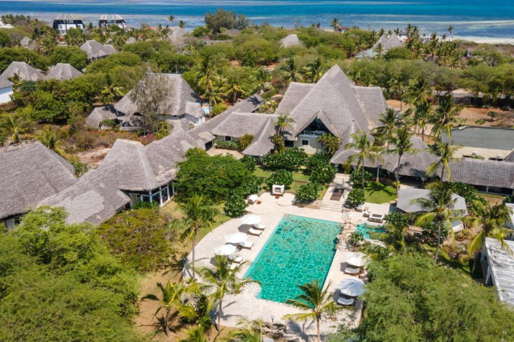 Lion in the Sun - a Billionaire Retreat