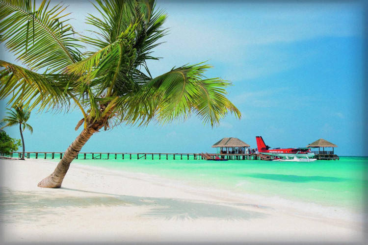 lux-south-ari-atoll-resort-villas-0b4d0b11b416677d.jpeg
