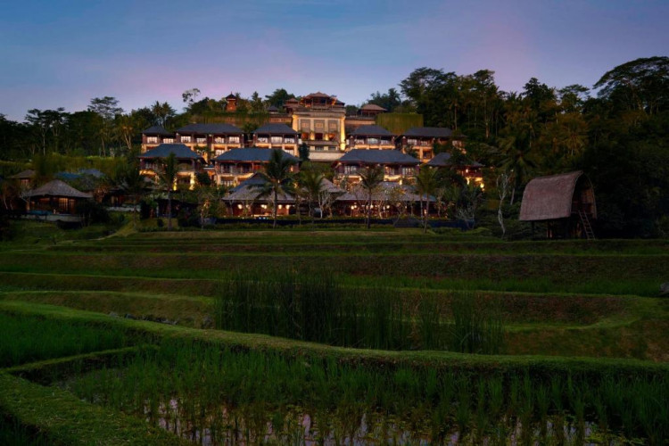 mandapa-a-ritz-carlton-reserve-996938fe0ec8ad09.jpeg
