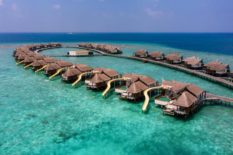 ozen-reserve-bolifushi-96440537ae37ca2d.jpeg