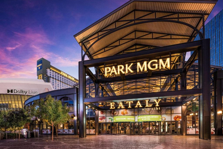 park-mgm-las-vegas-abe50a7cbc6fb8c4.jpeg