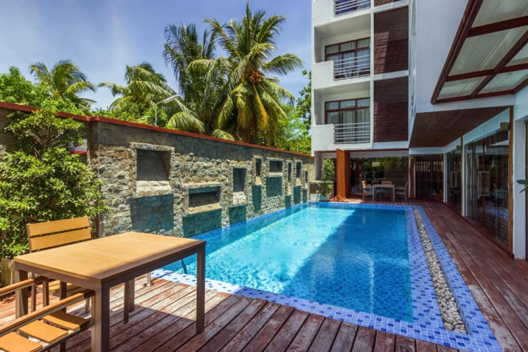 plumeria-maldives-66a3b57a8c4b8c06.jpeg