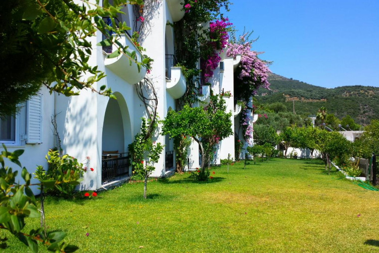 spiros-studios-cf638da9ad6d06e3.jpeg