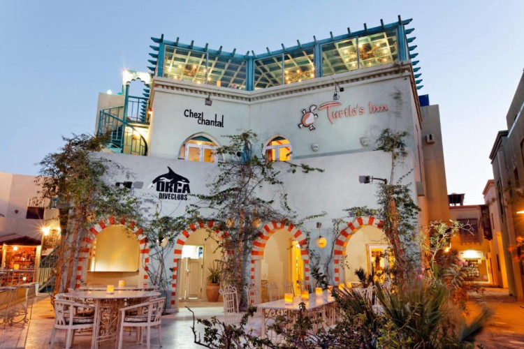 Turtle's Inn Hotel El Gouna