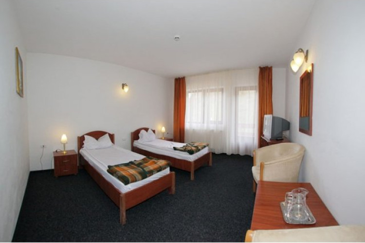 Hotel Paltinis