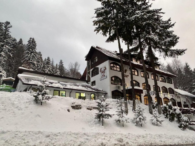 CERBUL CHALET.