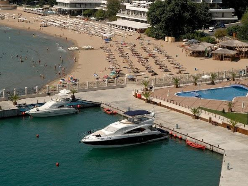 PALACE SUNNY DAY