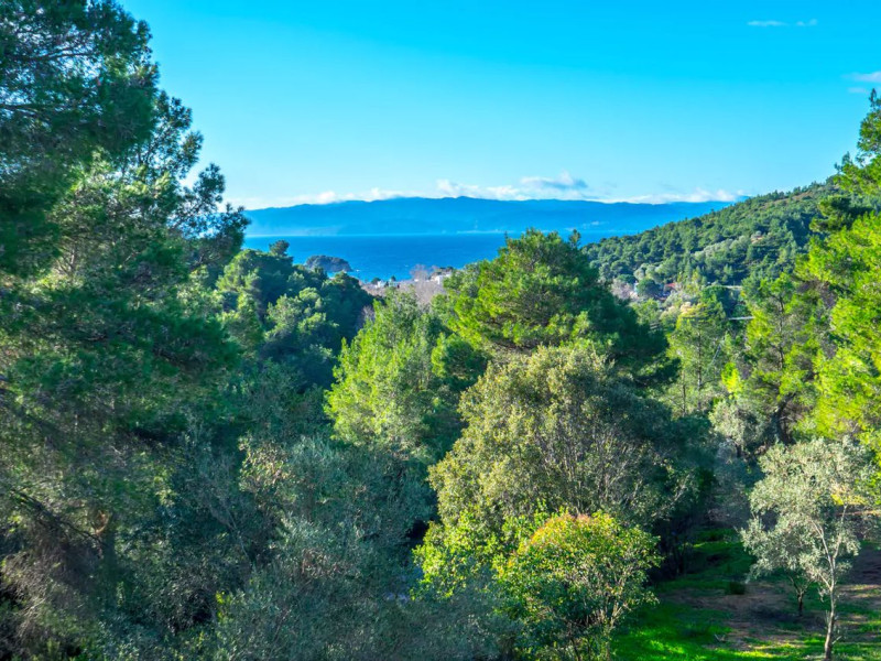 Filoxenia Hotel Skiathos