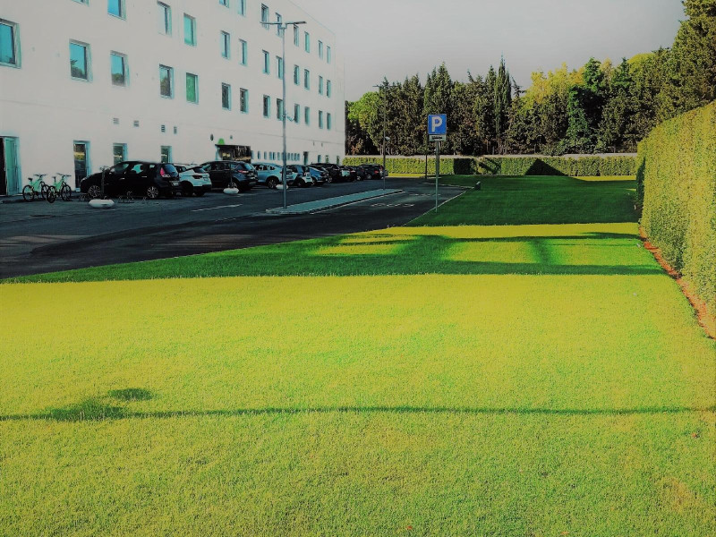 8Piuhotel