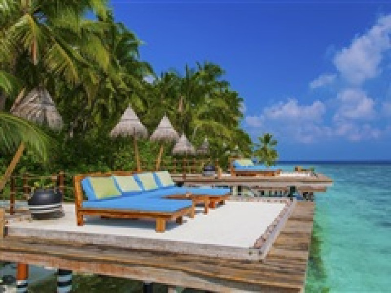 AAAVEEE NATURE'S PARADISE