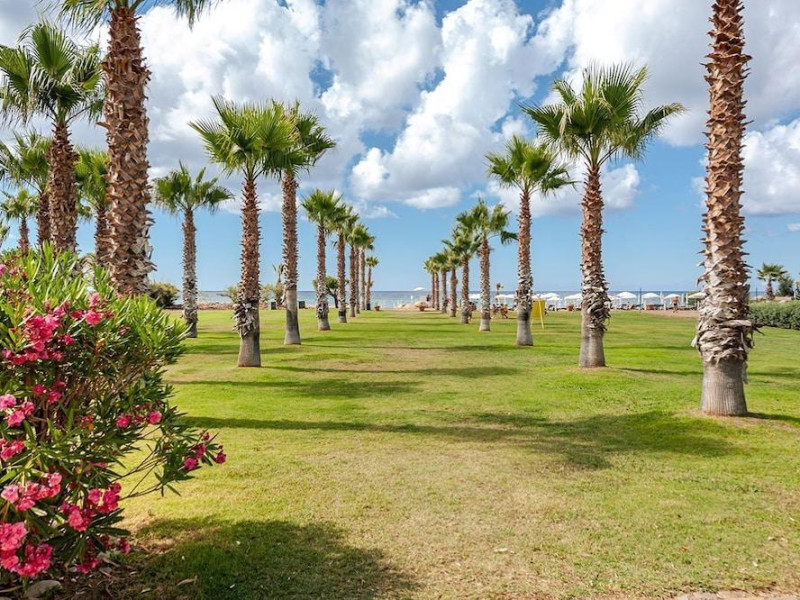 Acacia Resort MClub