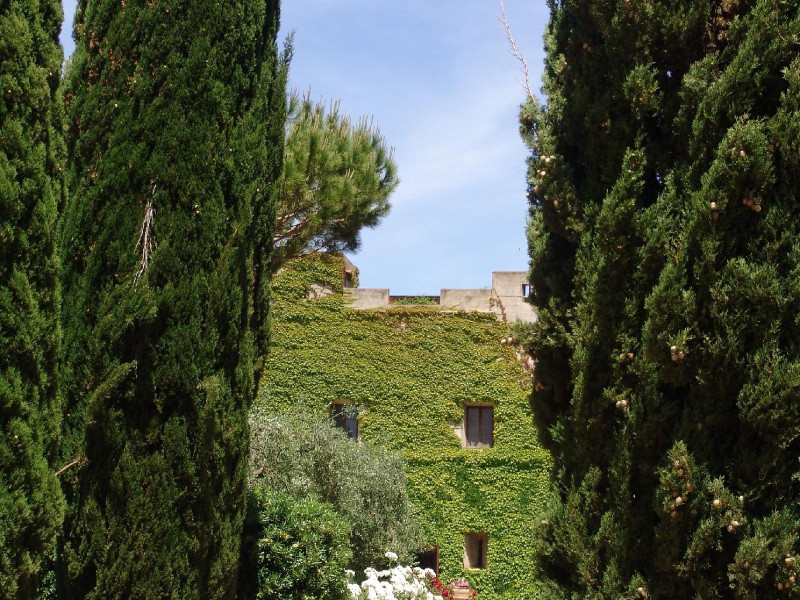 Agriturismo Fattoria Il Casalone