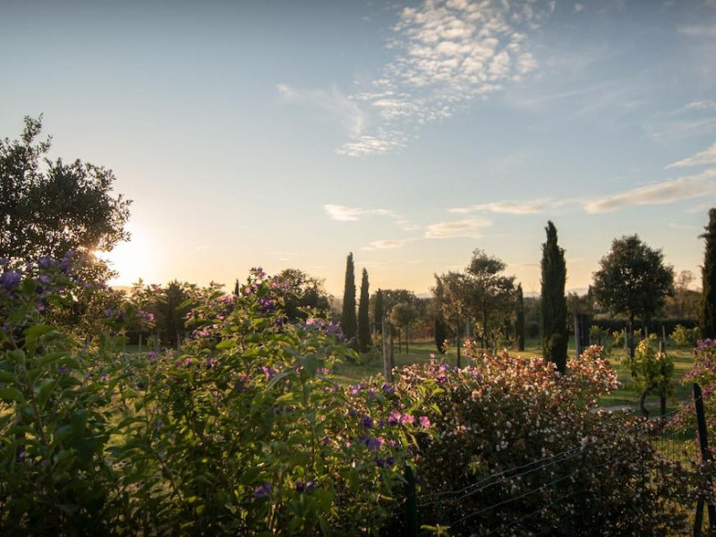 Agriturismo Sasso Rosso