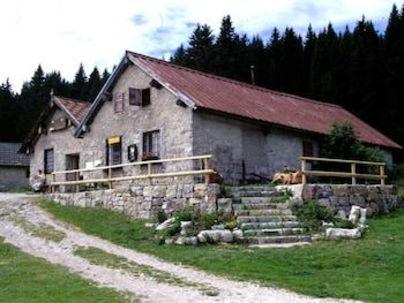 Alpine Smart Residence