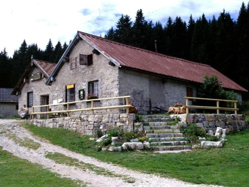 Alpine Smart Residence