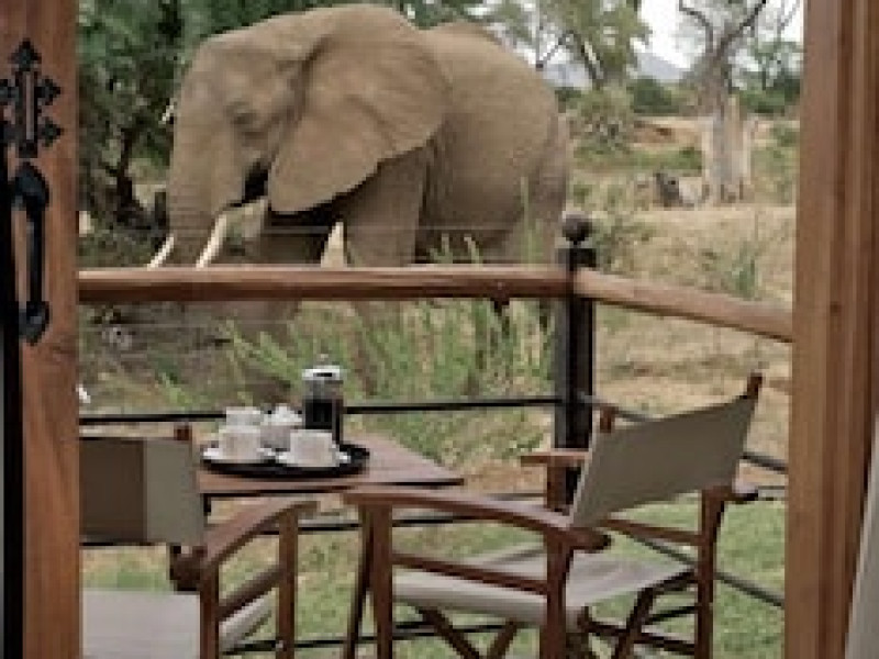 ASHNIL SAMBURU CAMP