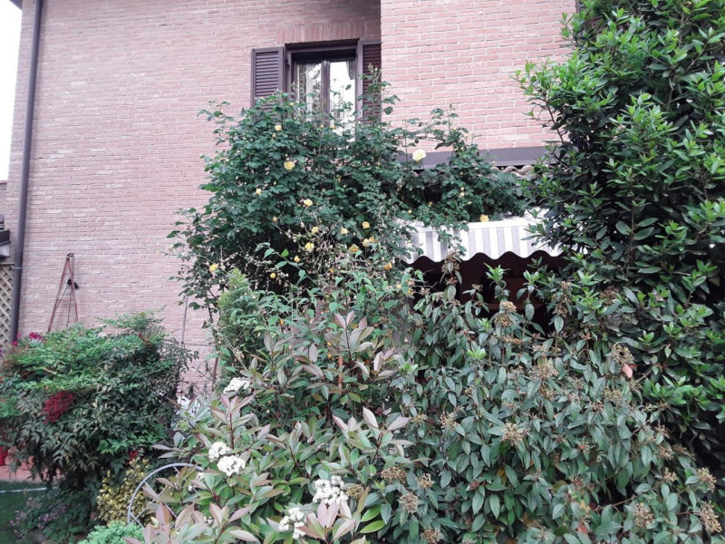 B&B La Rosa Gialla
