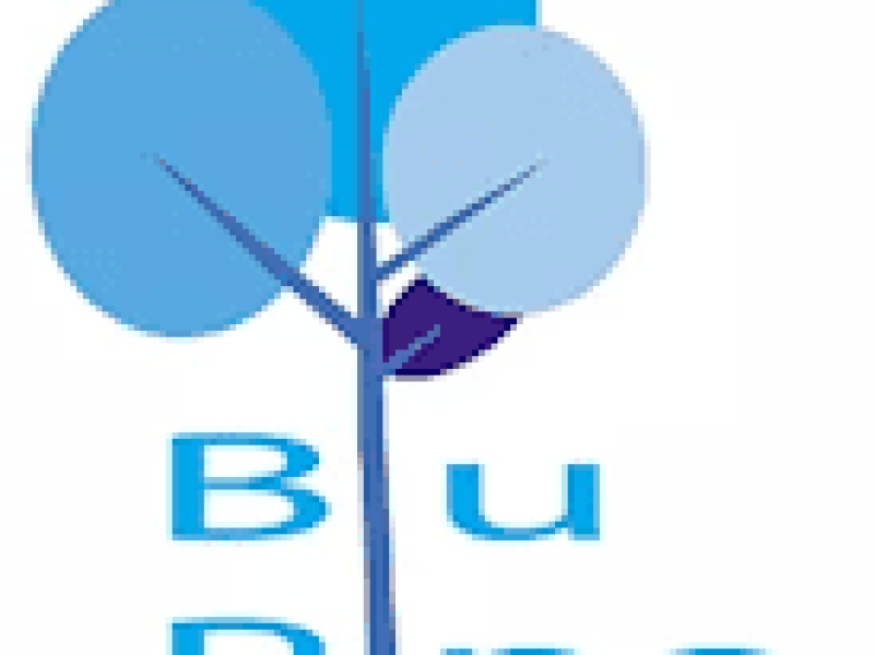 Blupine Residences