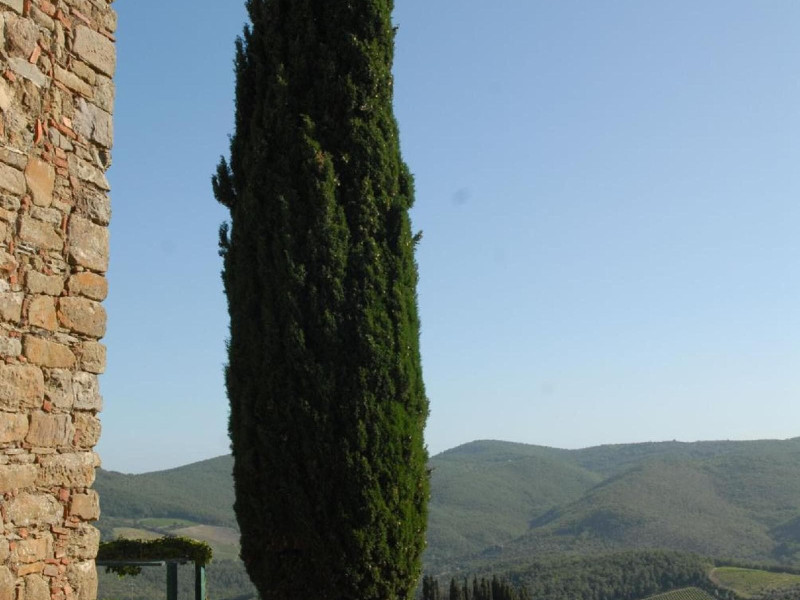 Borgo Castelvecchi
