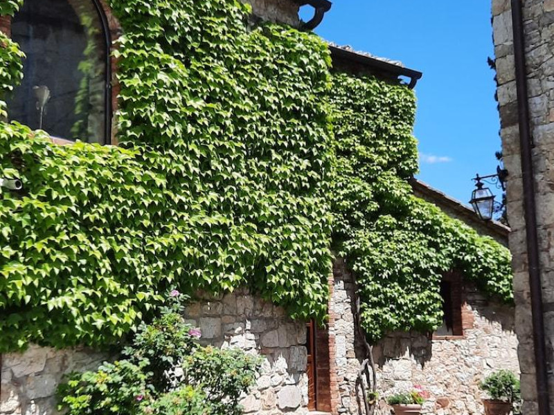 Borgo Livernano