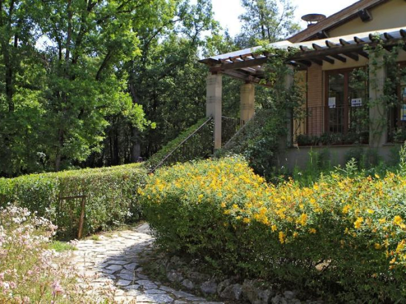 Camping Boschetto Di Piemma